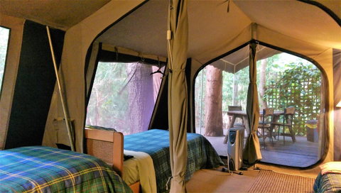 Black Cockatoo Lodge - Sunshine Coast Tourism 18