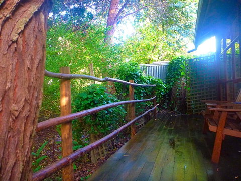 Black Cockatoo Lodge - Sunshine Coast Tourism 21