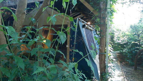 Black Cockatoo Lodge - Sunshine Coast Tourism 13