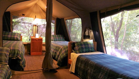 Black Cockatoo Lodge - Sunshine Coast Tourism 17