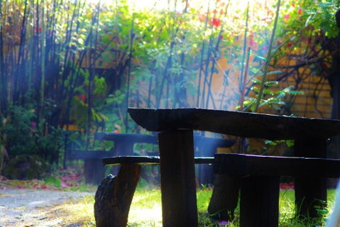 Black Cockatoo Lodge - Sunshine Coast Tourism 43