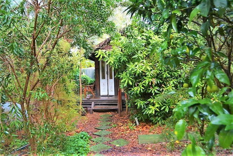 Black Cockatoo Lodge - Sunshine Coast Tourism 5