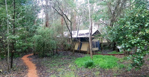 Black Cockatoo Lodge - Sunshine Coast Tourism 10