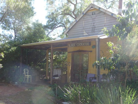 Black Cockatoo Lodge - Sunshine Coast Tourism 0