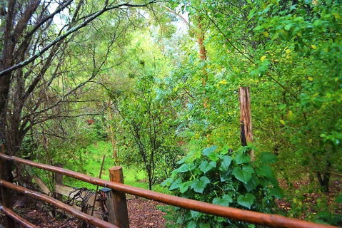 Black Cockatoo Lodge - Sunshine Coast Tourism 28