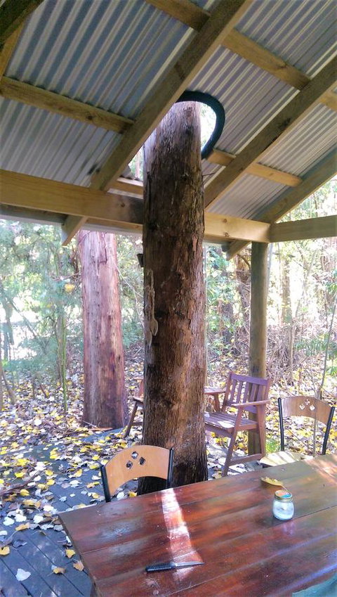 Black Cockatoo Lodge - Sunshine Coast Tourism 19