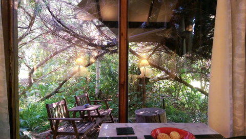 Black Cockatoo Lodge - Sunshine Coast Tourism 32