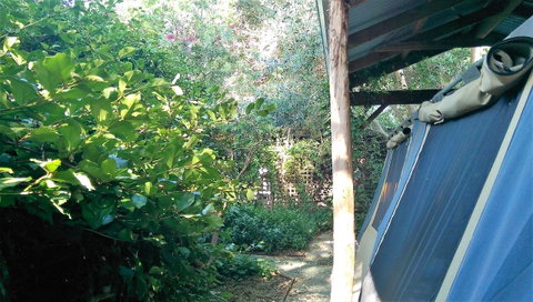 Black Cockatoo Lodge - Sunshine Coast Tourism 12