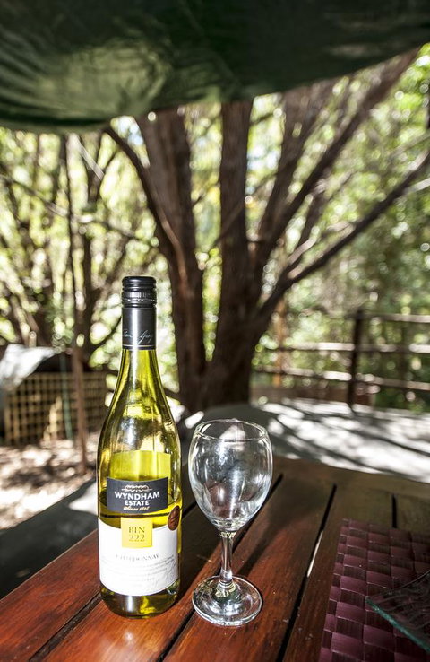 Black Cockatoo Lodge - Sunshine Coast Tourism 25
