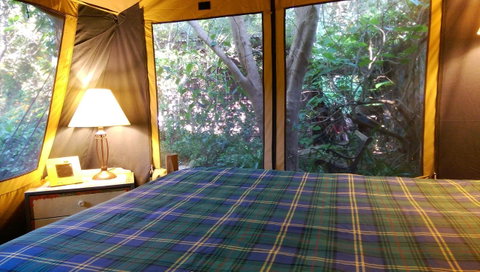 Black Cockatoo Lodge - Sunshine Coast Tourism 16
