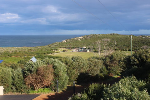 Aquatic Visions - Sunshine Coast Tourism 29