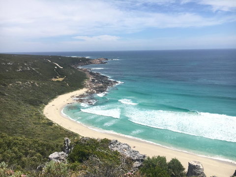Aquatic Visions - Sunshine Coast Tourism 34
