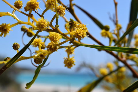 Eagle Bay House - Sunshine Coast Tourism 12