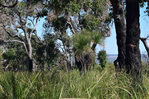 Eagle Bay House - Sunshine Coast Tourism 23