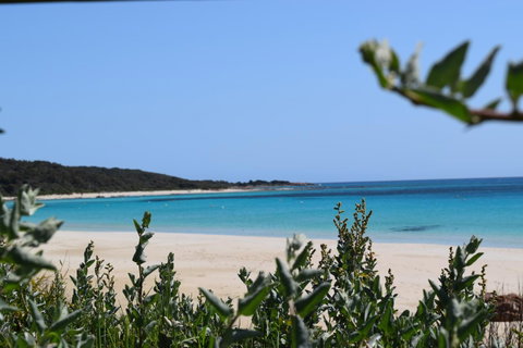 Eagle Bay House - Sunshine Coast Tourism 13