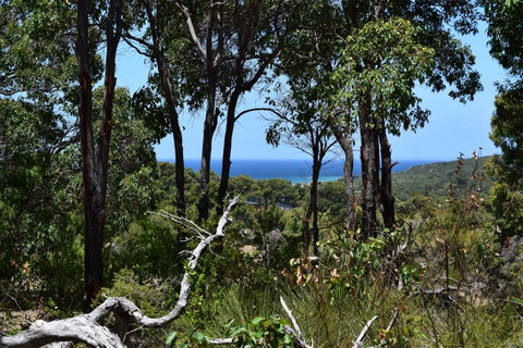 Eagle Bay House - Sunshine Coast Tourism 28