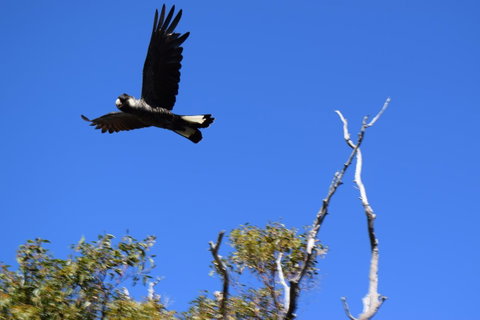 Eagle Bay House - Sunshine Coast Tourism 20