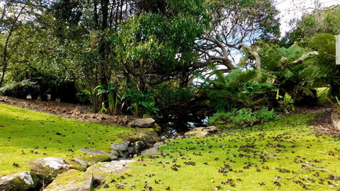 43 Degrees Bruny Island - Sunshine Coast Tourism 8