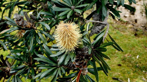 43 Degrees Bruny Island - Sunshine Coast Tourism 11