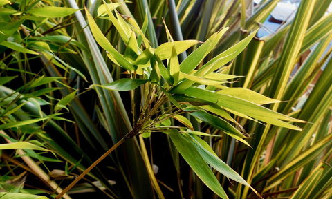 43 Degrees Bruny Island - Sunshine Coast Tourism 10