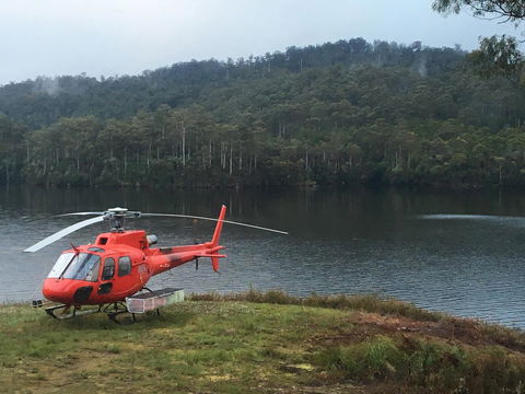 Tullah Lakeside Lodge - Sunshine Coast Tourism 12