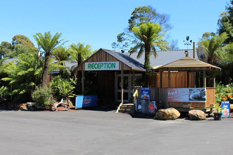 Tullah Lakeside Lodge - Sunshine Coast Tourism 5