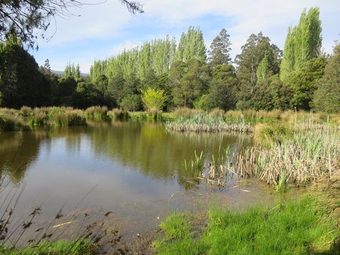 Giants Table And Cottages - Sunshine Coast Tourism 25