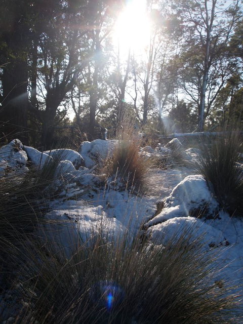 Erriba House - Holiday Sunshine Coast 9