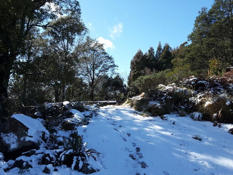 Erriba House - Holiday Sunshine Coast 4