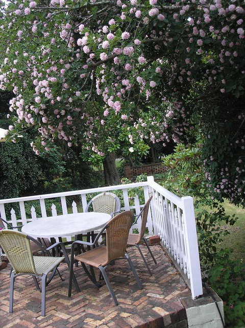 Anabel\'s Of Scottsdale - Holiday Sunshine Coast 33