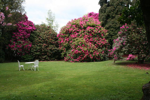 Anabel\'s Of Scottsdale - Holiday Sunshine Coast 39