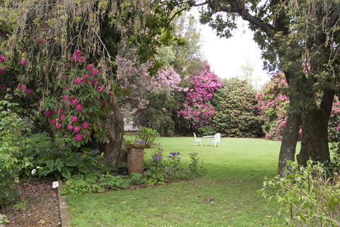 Anabel\'s Of Scottsdale - Holiday Sunshine Coast 35