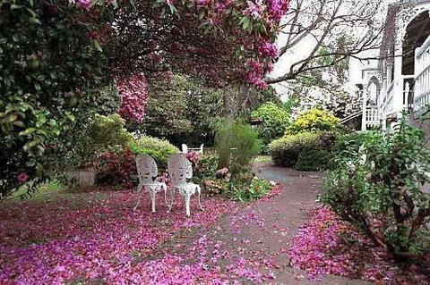 Anabel\'s Of Scottsdale - Holiday Sunshine Coast 36