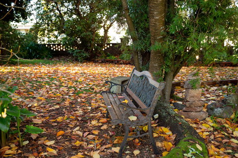 Anabel\'s Of Scottsdale - Holiday Sunshine Coast 38