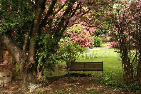 Anabel\'s Of Scottsdale - Holiday Sunshine Coast 34