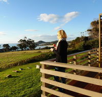 Beachend Bicheno - Sunshine Coast Tourism