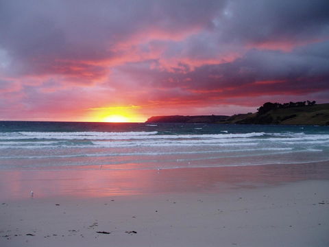 Seascape Beach House - Sunshine Coast Tourism 14