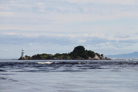 Aloft Boutique Accommodation - Sunshine Coast Tourism 7