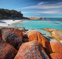 Homelea Accommodation - Holiday Sunshine Coast