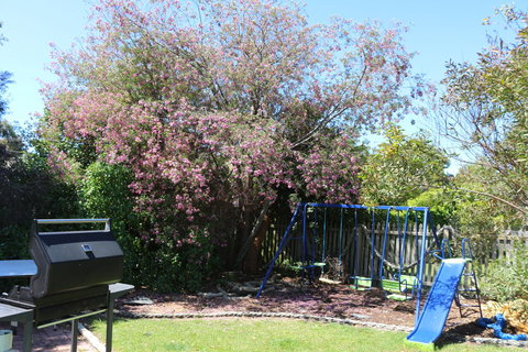 Sisters Beach Paradise - Holiday Sunshine Coast 9