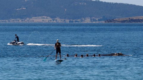 The Ultimate Beach House - Sunshine Coast Tourism 19