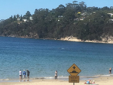 The Ultimate Beach House - Sunshine Coast Tourism 2