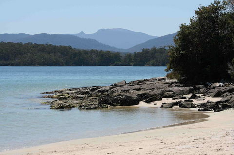 Driftwood - Sunshine Coast Tourism 14