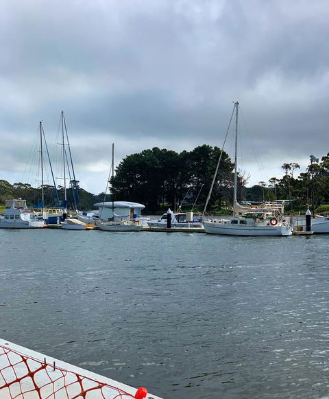 The Waterfront Wynyard - Sunshine Coast Tourism 5
