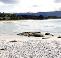Mermaids of Bicheno - Sunshine Coast Tourism