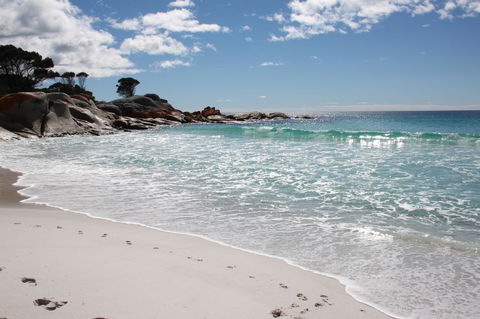 SEA EAGLE COTTAGE Amazing Views Of Bay Of Fires - Holiday Sunshine Coast 14