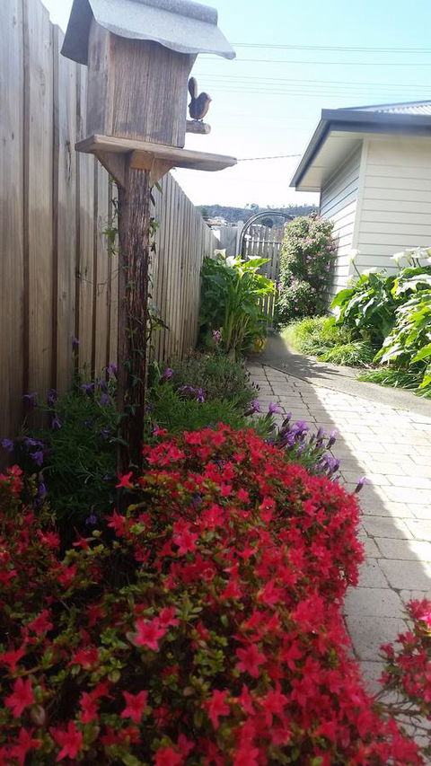 Driftwood-Cottage - Sunshine Coast Tourism 16