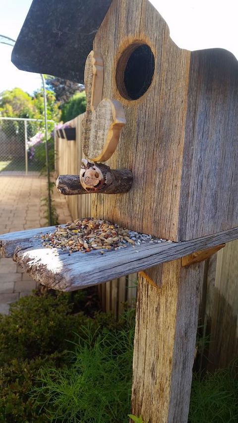 Driftwood-Cottage - Sunshine Coast Tourism 29