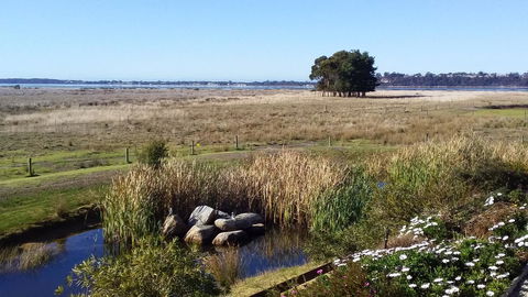 Pelican Point Sanctuary - Sunshine Coast Tourism 7