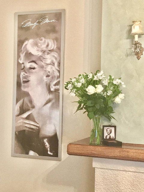 Jones On Wilson Boutique B&B - Sunshine Coast Tourism 1